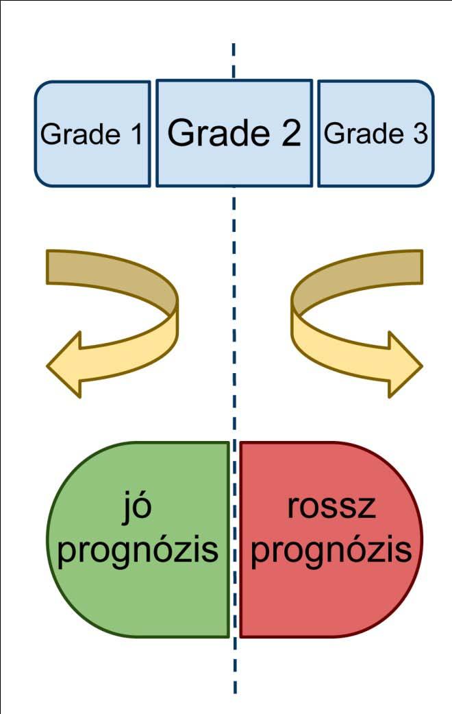 Grade 2 daganatok prognosztikus vizsgálatai FoxTop index p = 0.