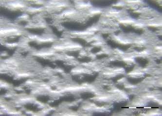 MECHANIKAILAG RÖGZÍTETT, EGYRÉTEGŰ CSAPADÉKVÍZ-SZIGETELÉSI RENDSZER A mintadarab: Az alábbi fotók 20 szoros nagyításban mutatják a lemez felületét, a mikroszkóp alatt láthatóak a dombornyomott