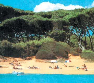 terasz vagy balkon. MARIA - 6 lakásos épület, földszinti és 1-2. emeleti csak TRILO/2+2(+1) ágyas lakásokkal (nincs emeletes ágy), veranda vagy erkély. Strand 400 m.