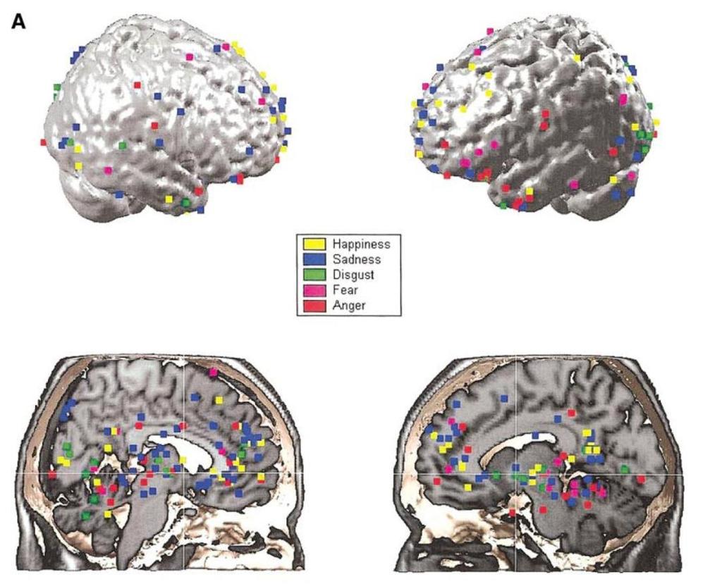 Specifikus érzelmeket kísérő agyi aktiváció: