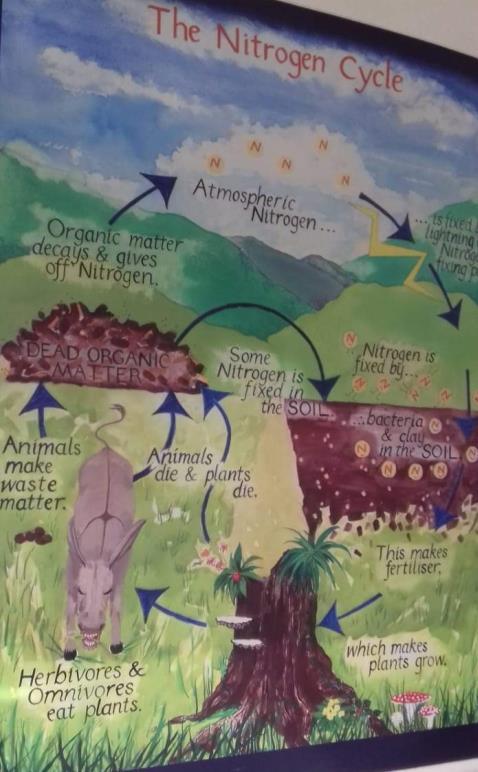 a helyi biofarmon, a Gortbrack Organic Farm-on, járva megértettük az