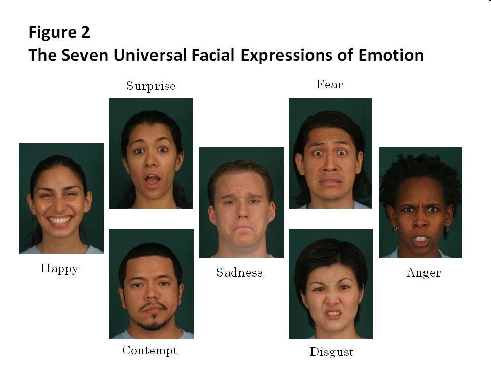Univerzális érzelmi arckifejezések Meglepetés