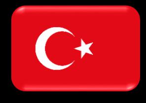 html Törökországgal részleges viszonossági szerződés várható (Áru és személyszállítási szolgáltatáshoz kapcsolódó