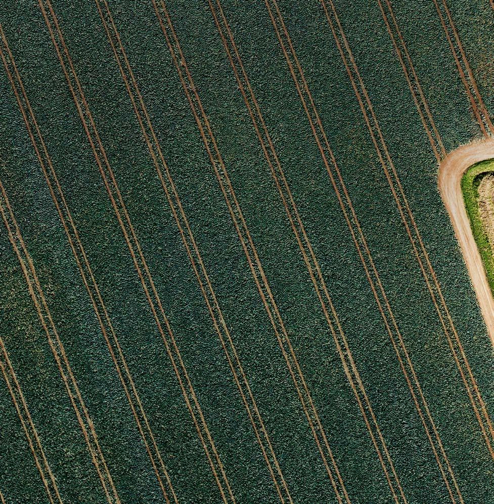 Tekintse meg a videót! tractor.claas.com Igazán jó munka. Traktorok a CLAAS-tól. A nemzetközi kampány "Igazán jó munka" mezőgazdászokat és bérvállalkozókat mutat be a világ minden tájáról.