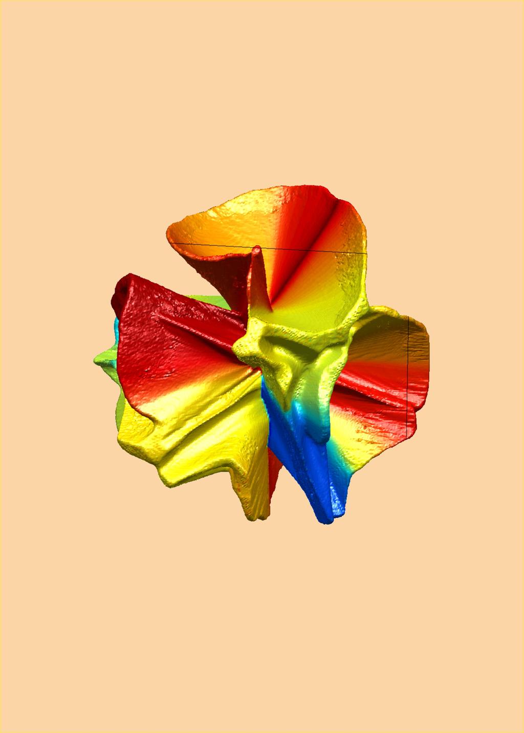 fizikai
