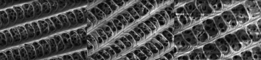 a) b) c) 500 nm 6. ábra.