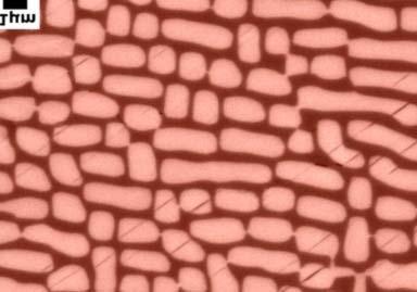 megoldott Lattice Boltzmann-egyenletek szerint meghatározott áramlási térnek megfelelõen mozgatjuk.