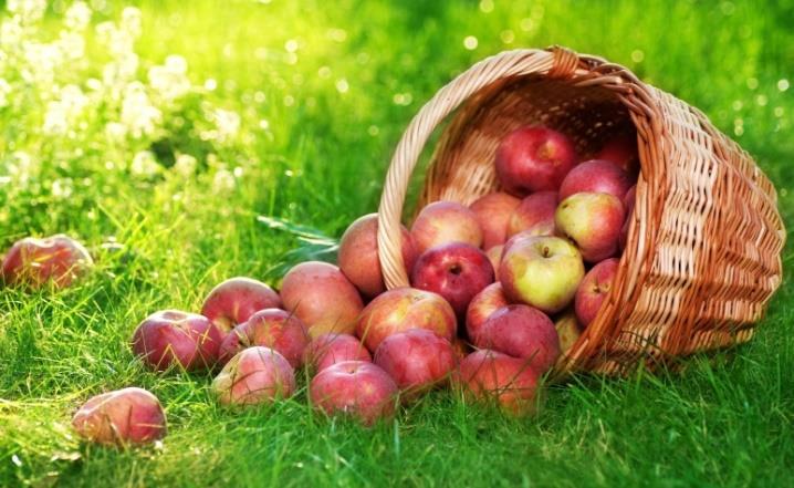 K 108790 A MODERN ÁLLAM VÁLTOZÁSAI Történeti perspektívák és a jelenkori kihívásokra adott válaszok SZAKMAI RÉSZJELENTÉS 2015. szeptember 1. 2016. augusztus 31.