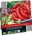 függően 3-5 db / csomag MINI ÜVEGHÁZ* /csomag
