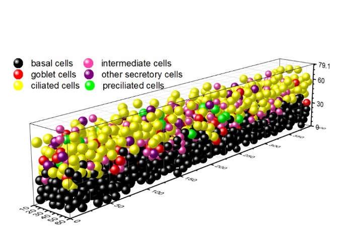 Response at different levels of biological