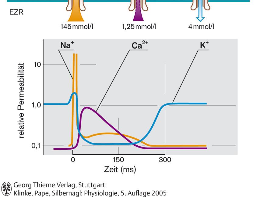 intracell.