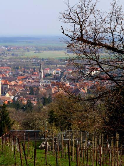 EDEN programmes for families in the Írottkő Nature Park Spring B2B CULTURAL TREASURE HUNTING IN KŐSZEG: two-hours long free sight-seeing, reward: badge or a certificate! More information: www.