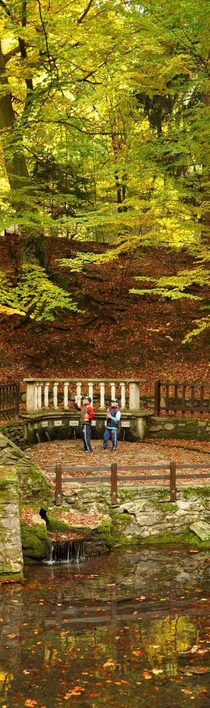 EDEN programmes for families in the Írottkő Nature Park Autumn B2B CULTURAL TREASURE HUNTING IN KŐSZEG: two-hours long free sight-seeing, reward: badge or a certificate! More information: www.