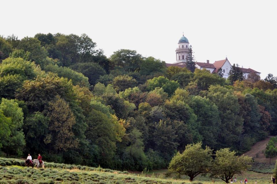Hőmérsékleti adatok alapján megállapítható, hogy a területre viszonylag kiegyenlített értékek jellemzőek. A tél enyhe, középhőmérsékletét tekintve a leghidegebb hónap a január (-2,2 C).