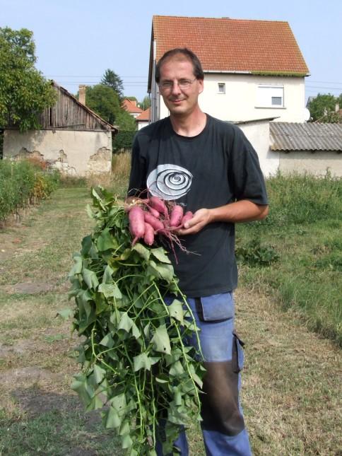 A szőlővesszők és borok áldását követően 23 mintát szemlézett meg nyilvánosan a szakértő zsűri.