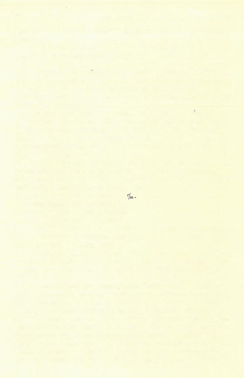 fő ) FÖLVÉTELI JELENTÉS. 157 távolságban. Az agyagot mindössze kutakban tárták fe l; így a Remetekápolnán ál.