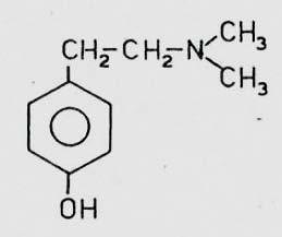 hordenin