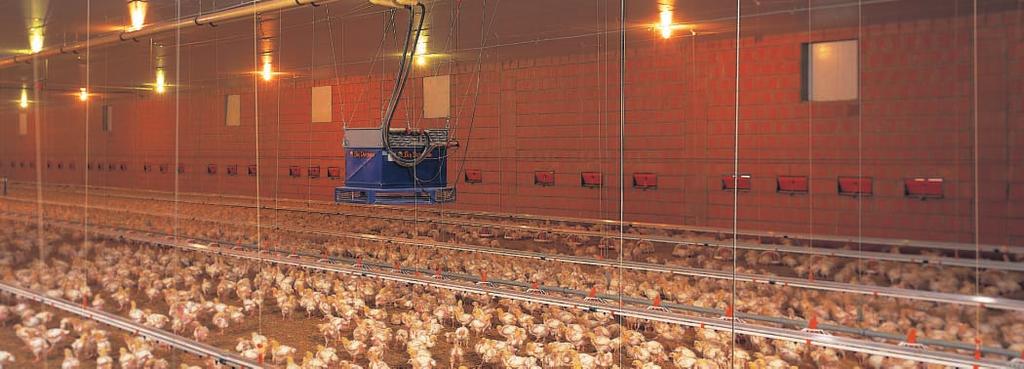 Fontos szempont a takarmány könnyű elérhetősége és a tápveszteség elkerülése.