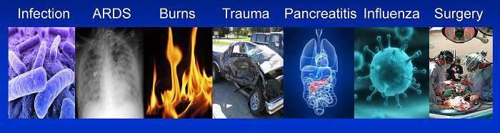 Two-HIT hypothesis polytraumatizált betegnél* First Hit 21 TRAUMA Szervsérülés Csontsérülés Lágyrészsérülés Hypotenzió Hypoxia Korai MOF/MODS * Keel M, Trentz O: Pathophysiology of polytrauma.