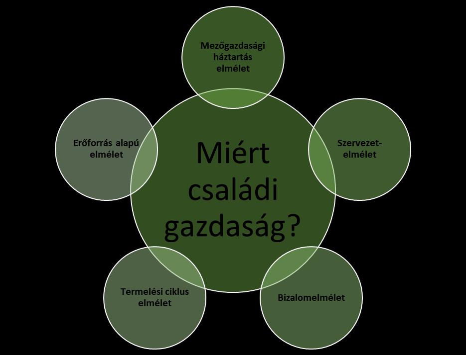 Családi gazdaság elméletek MEZŐGAZDASÁGI HÁZTARTÁS ELMÉLET: A családi munkaerő idegen munkaerővel történő helyettesíthetőségét a felügyeleti/ellenőrzési költségek, valamint a munkaerővel szemben