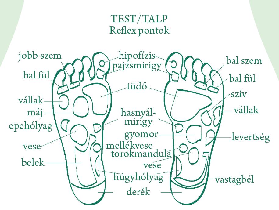 CRYSTAL SPA PEDIKŰRÖS ISMERKEDÉS A TALPREFLEXOLÓGIÁVAL KOLMAN MÁRIA Állami diplomás egészségtan tanár, Lábterapeuta Reflexológiával a lábfej felső belső külső oldalán továbbá a talpon lévő