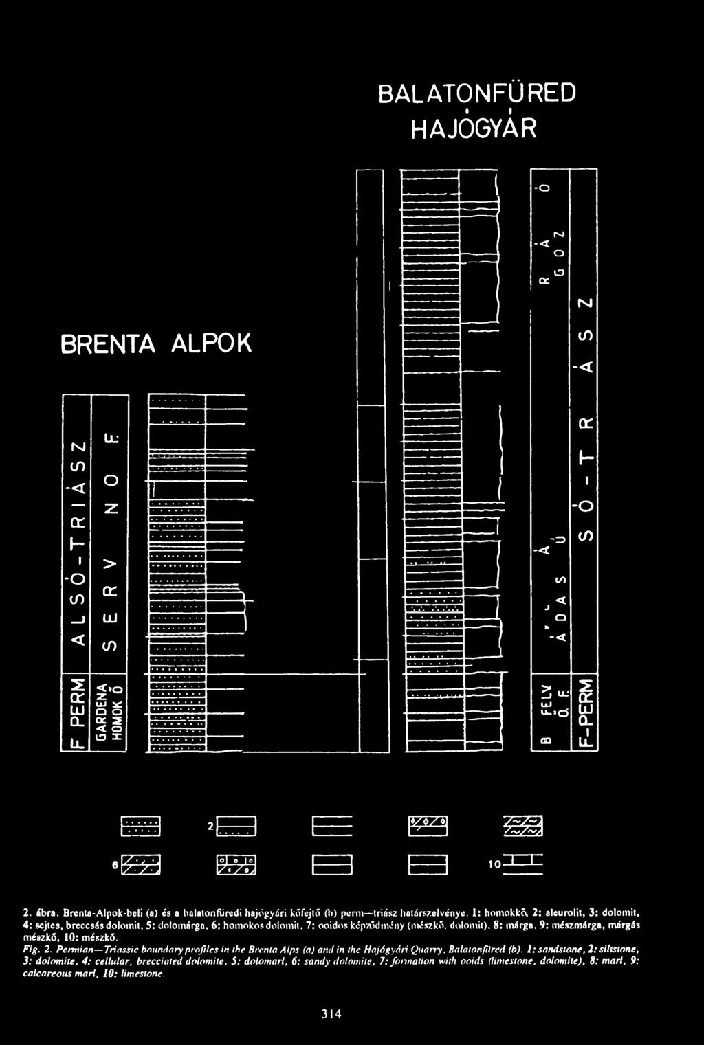 Brenta-Alpok-beli (a) és a halatonfiiredi hajógyári kőfejlő (b) pcrm triász halárszelvénye.