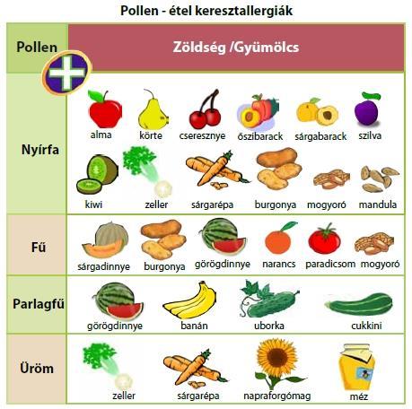 Pollen-étel keresztallergia sajátosságai IgE mediált reakció Allergiás rhinitis mindig van Tünetek pollenszezonban kifejezettek, de Orális reakció (OAS): ajak, nyelv, torok