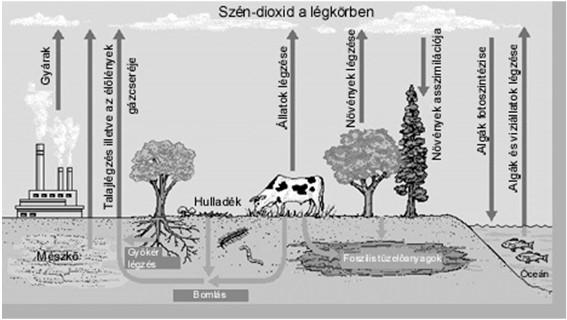 4. SO 4. + O 2 SO 3 + O 3 b) SO 2 + O SO 3 c) heterogén: köd, füst cseppek felületén Hatás: növényeken, talajokban, műszaki fémeken 56 NO x : toxikus, veszélyes a NO, a NO 2 és az NO 3.