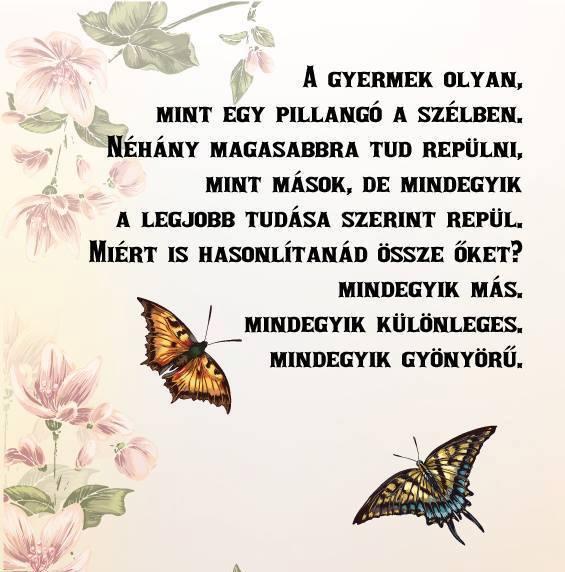 A Sándorhomoki Napközi Programú Óvoda A Sándorhomoki Napközi Programú Óvoda pillangóiról,ugyanezeket lehet elmondani: mindegyik más, mindegyik különleges, mindegyik gyönyörű, de legfőbbképpen, hogy