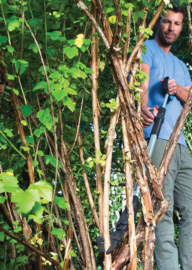 GARDENA ágvágó ollók Nagyobb vágóerő játszi könnyedséggel Innovatív megoldások és a