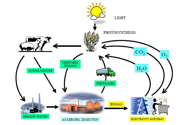 Biogáz hasznosítás Forrás: Energy from