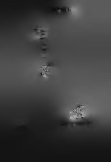64 D R.
