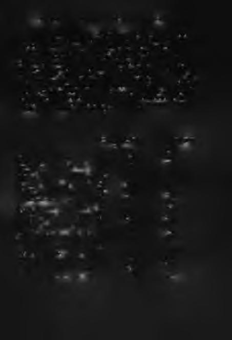 AZ AGRÁRNÉPESSÉG TERÜLETI ALAKULÁSA 69 A m ezőgazdasági lakosság életk ö rü lm ényein ek igen fontos jellem ző a d a ta, hogy m ik ép p en oszlik el települési viszonyok szerin t, te h á t h á n y a