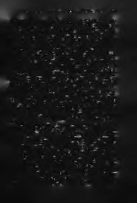A Z A G R Á R NÉPESSÉG T E R Ü LETI A L A K U LÁ S A 89 T h is is co n n ected w ith th e h ig h e r ra te of n a tu ra l in crease of th e a g ric u ltu ra l p o p u la tio n a n d th e la rg e r n
