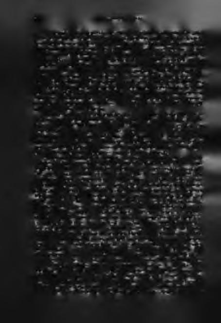 56 DR.