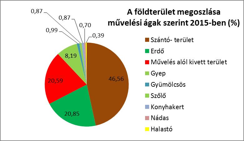 Nagyvadas élőhelygazdálkodás és takarmányozás Vadgazdálkodási igazgatási szakirányú szak Élőhely-kezelés, vadhatás, vadkár. Dr.