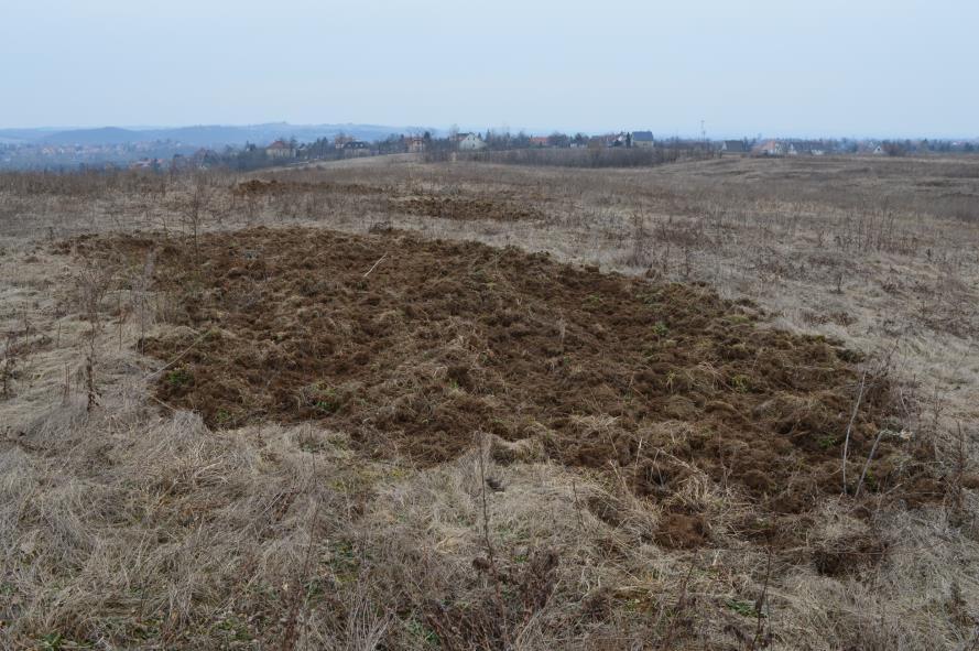 Természetes vadhatás szintje Katona és mtsai, 2015, Természetvédelmi