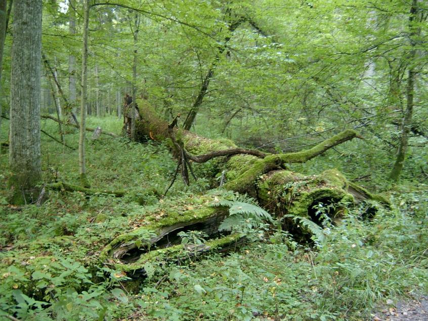 Nature Climate Change A különböző színek azt jelzik, hogy hányszor azonosították a 8 különböző képtípusból az adott