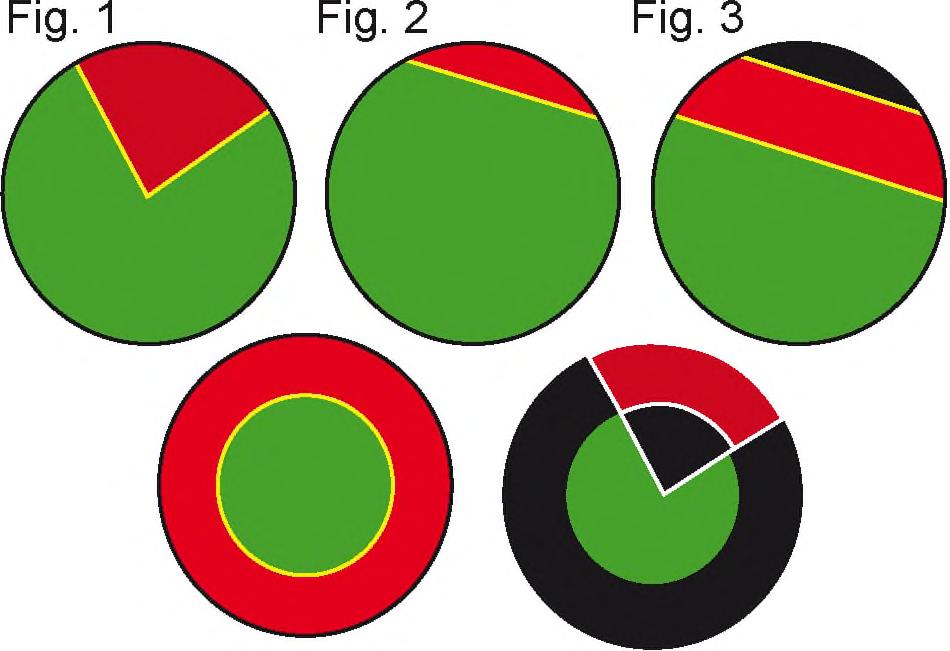 Figura poha: Fig. 4 Fig. 5 3.