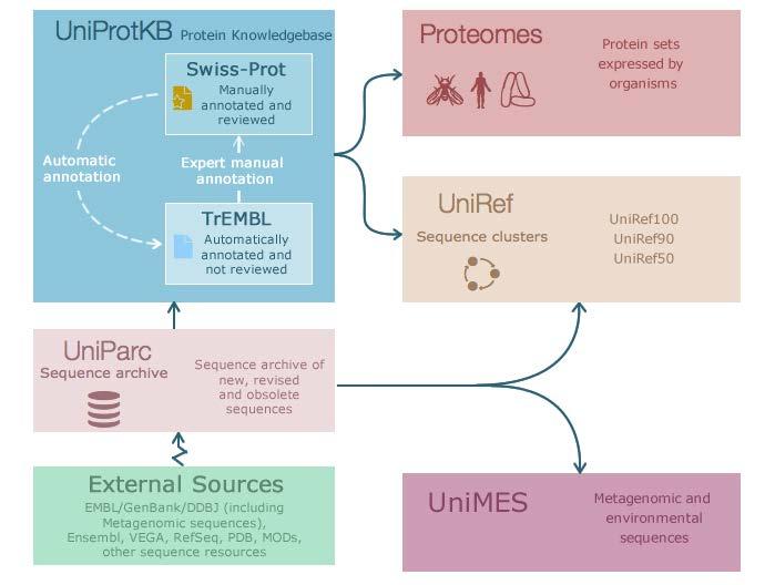 Protein databases: UniProt Knowledgebase The Universal Protein Resource (UniProt) is a comprehensive resource for protein sequence and annotation data.