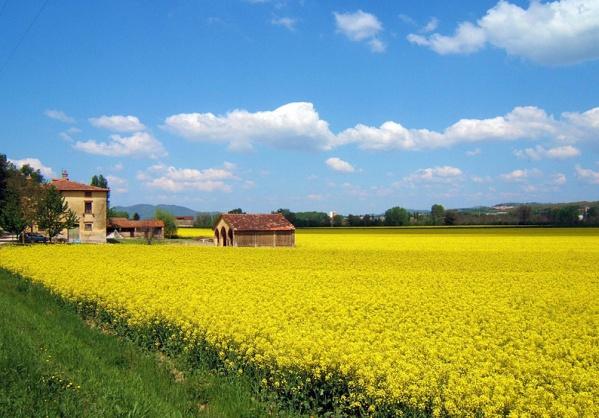 Piroska 9 Márió 20 Fábián 2 Ágnes 22 Artúr 23