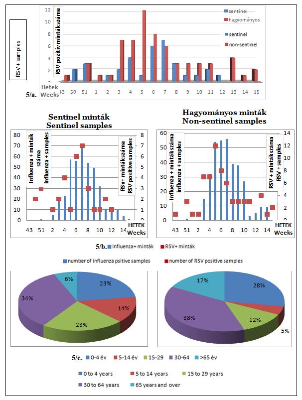 5. ábra: A 2014/15. évi influenza surveillance RSV pozitív adatainak összefoglaló ábrája: 5/a. RSV/Influenza pozitív minták száma heti bontásban; 5/b.