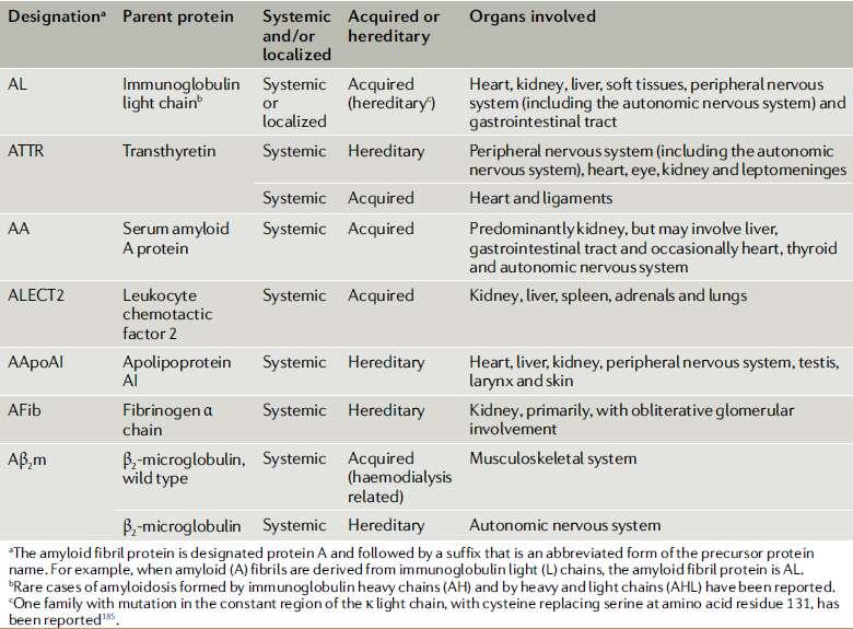 Az amyloidosis főbb típusai és azok tünetei Merlini G, Dispenzieri A, Sanchorawala V, Schönland SO, Palladini G, Hawkins PN, Gertz MA.Systemic immunoglobulin light chain amyloidosis.