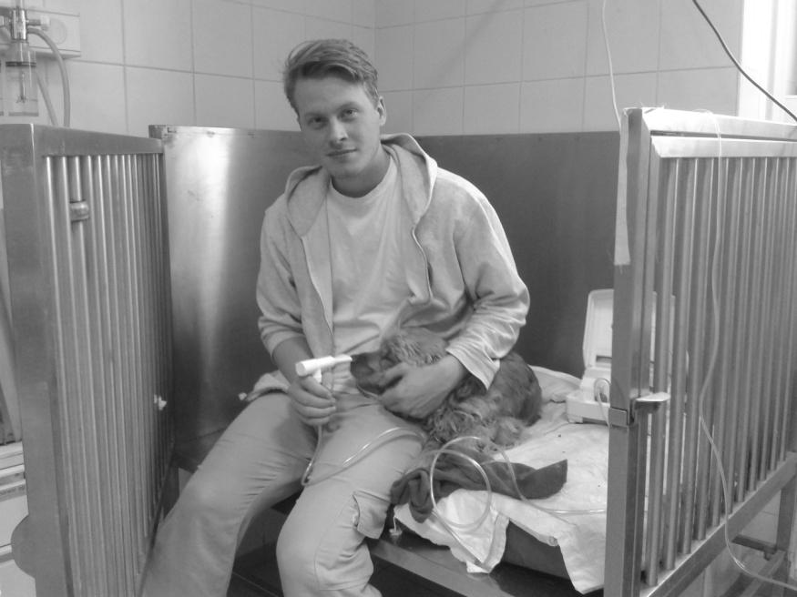 fertőződés után Parainfluenza ~2 év Bordetella ~ 6 hónap Vakcinázás Parenteralis kombinált :