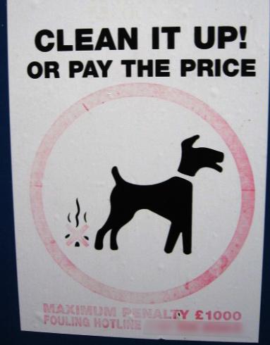 dog /d g/ kutya to permit (-tt-) /p mit/ megenged no permitted nincs megengedve, tilos cemetery / sem tri/