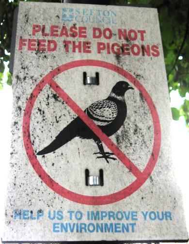 ktli/ szigorúan forbidden /f b dn/ tilos, tiltott to feed* /fi d/