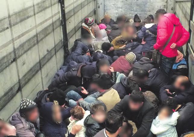 A Világgazdasághoz 2015-ben csatlakozott, a pályán eltöltött húsz év alatt számos szakmai kitüntetéssel ismerték el munkáját.