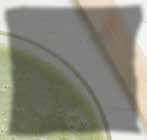 FILMTABLETTA 30 db 126,63 /db 3799 BIOPONT