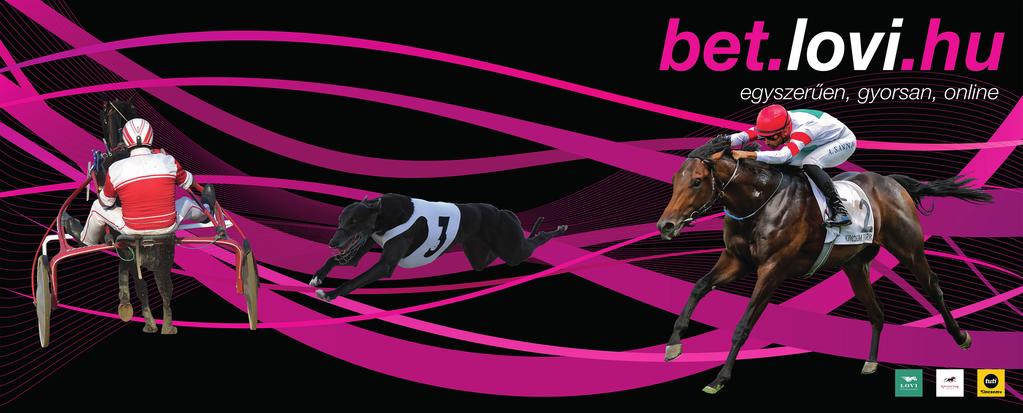 5 2018.06.02 5/9 47.5 900 Kincsem Park (3.5) kat. Sergey Vasyutov 58.0 0:54.5 54 12 Napsugar Isabel (IRE) * 56.