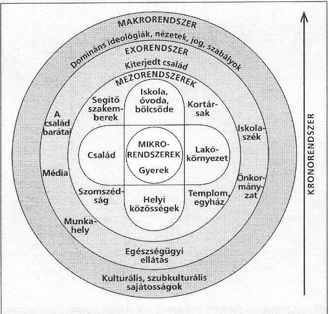 hatásoknak négy különböző szintje van: mikrorendszer, mezorendszer, exorendszer, makrorendszer (Danis. I. és Kalmár, M. (2011).